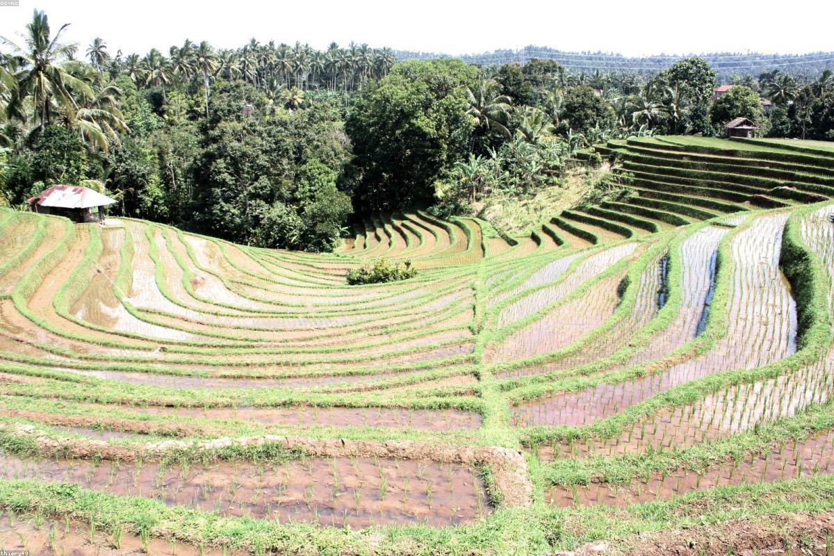 Bali Honeymoon — Ubud Villas & Uluwatu Sunsets — photograph 2