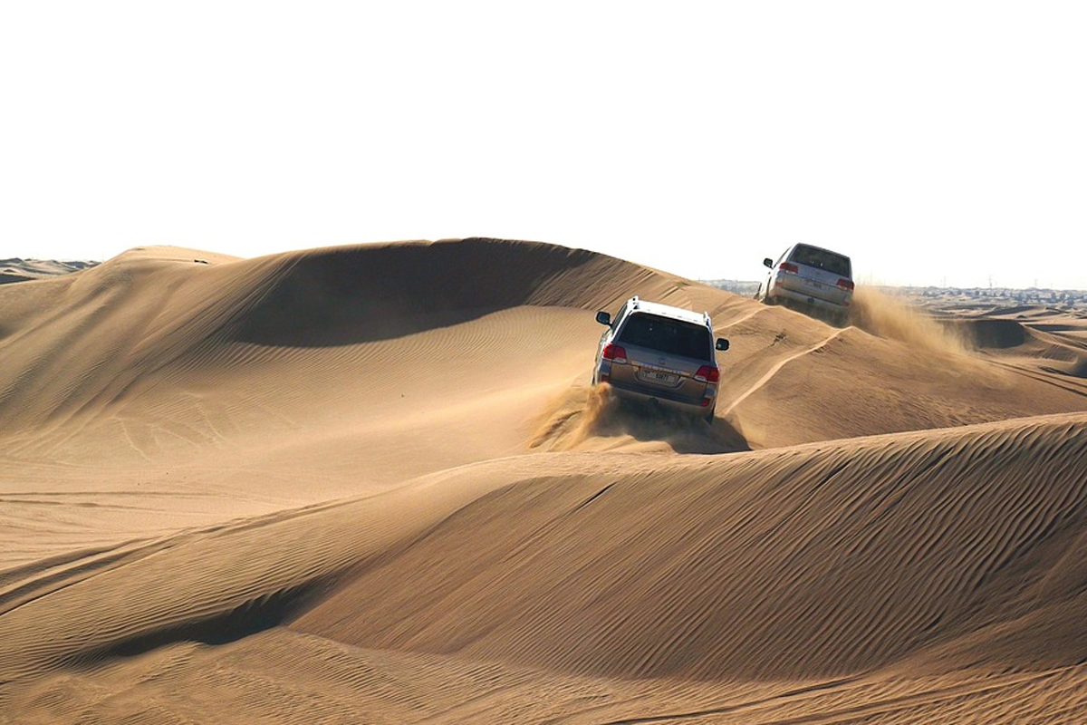 Dubai Delights — City, Desert & Dhow — photograph 3