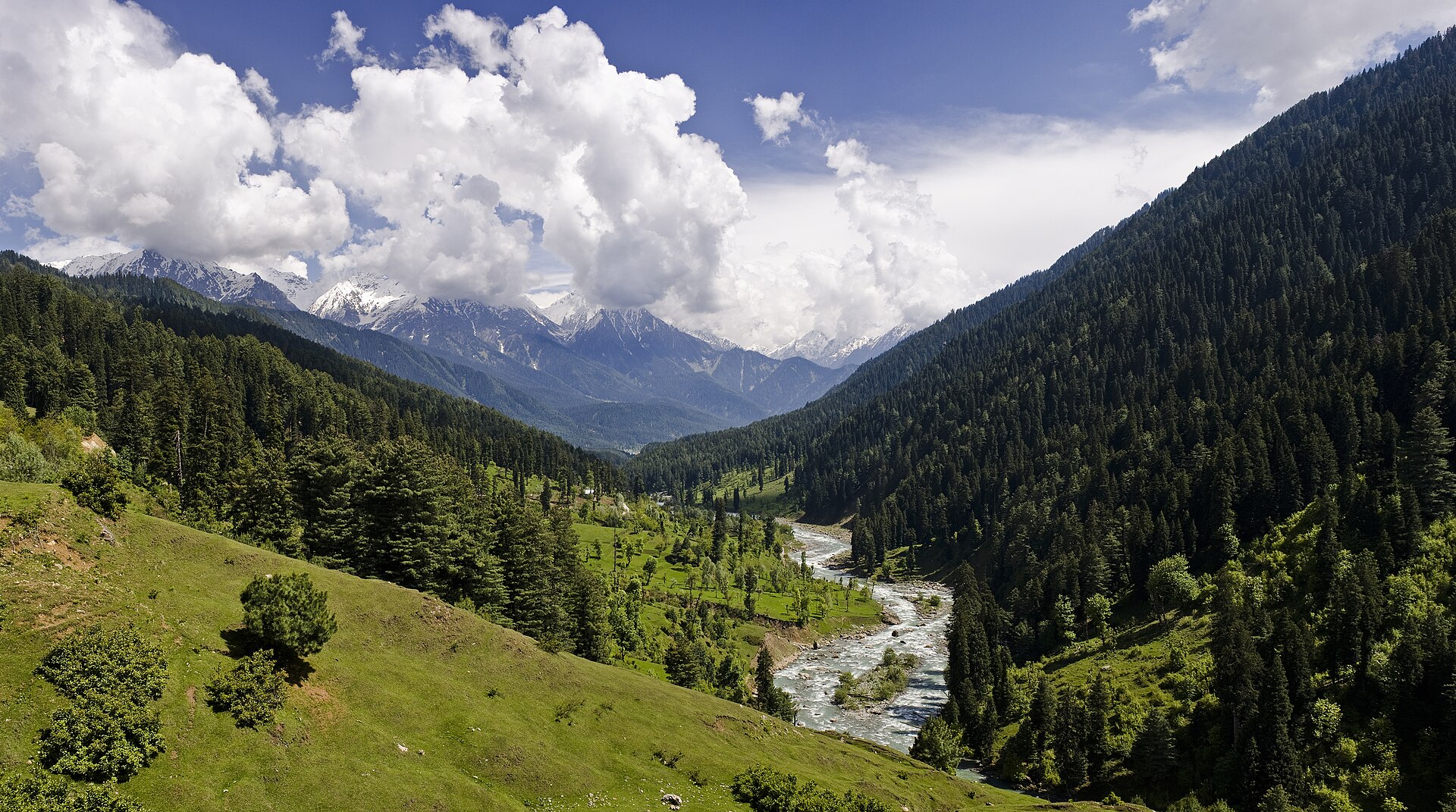 The meadows above Pahalgam