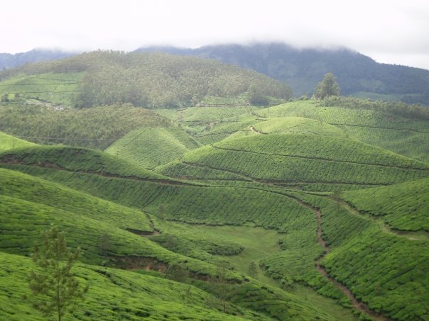 Kerala Backwaters & Hills — photograph 5