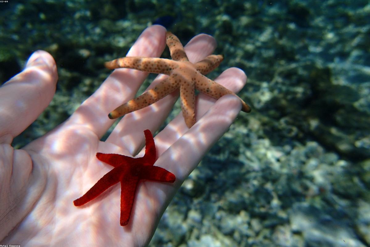 Holiday packages in Maldives, Maldives