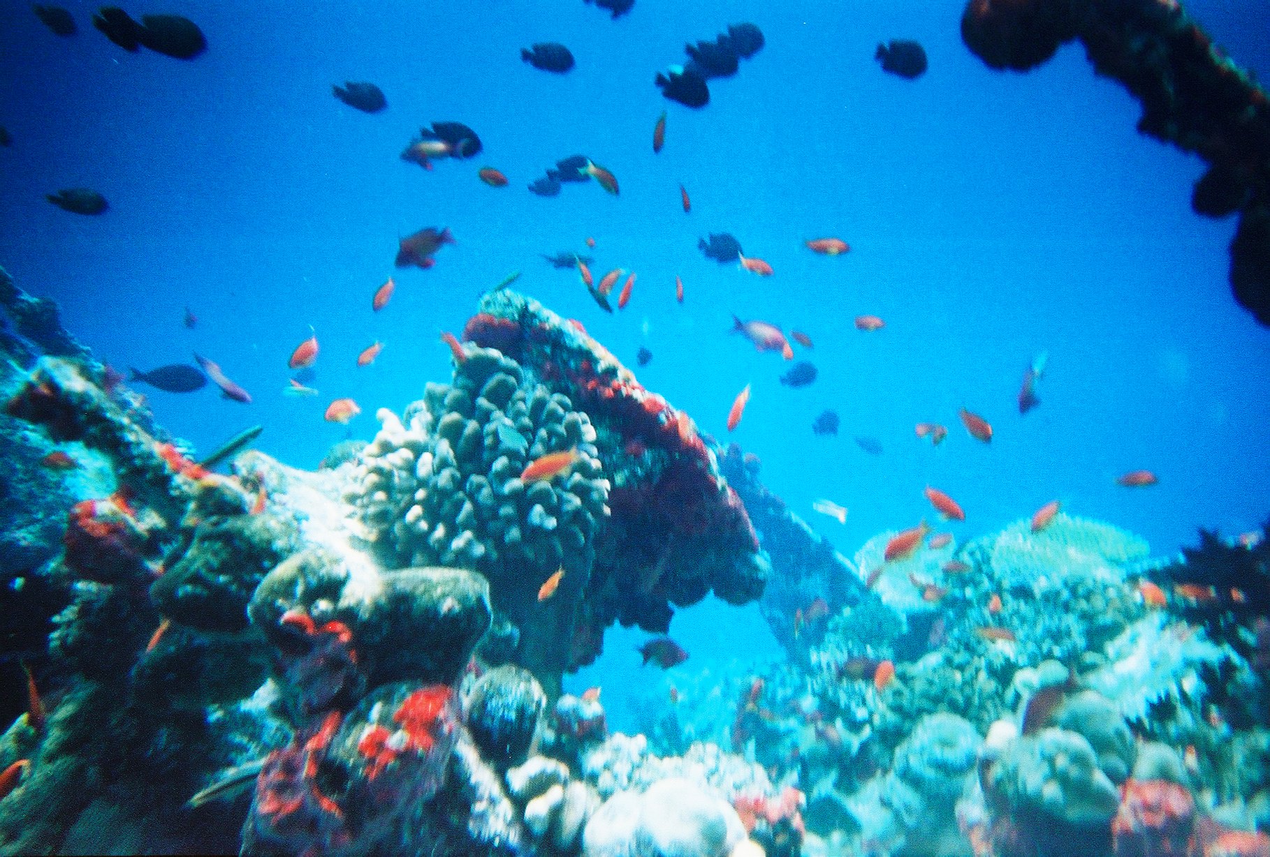 Maldives Overwater Honeymoon — photograph 2